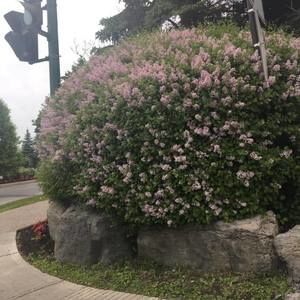 Meet your Posher, Claire